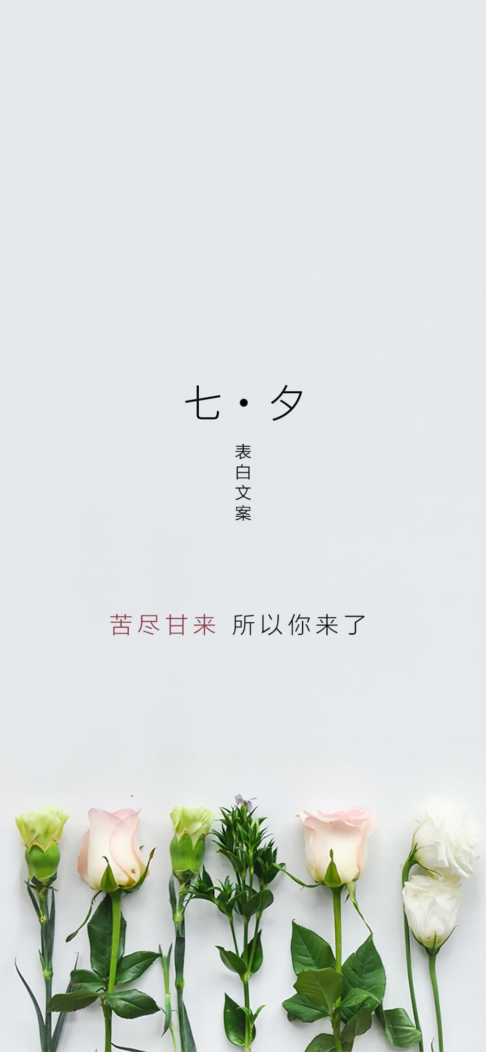 七夕表白文案 堆糖,美图壁纸兴趣社区