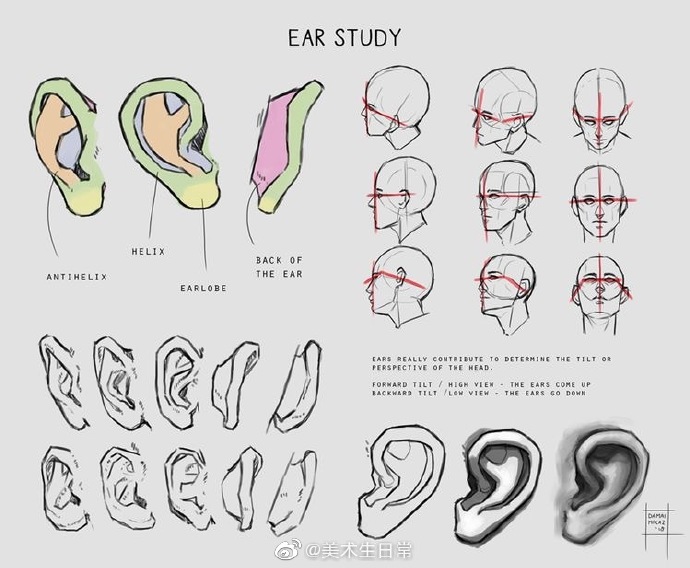 耳朵画法 绘画素材