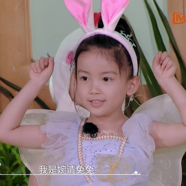 奇妙小森林婉清丨dt浅浅