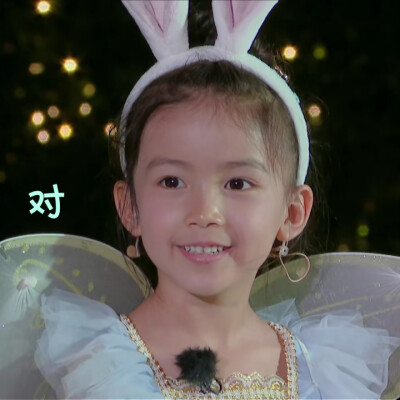 奇妙小森林×婉清丨dt浅浅可二改