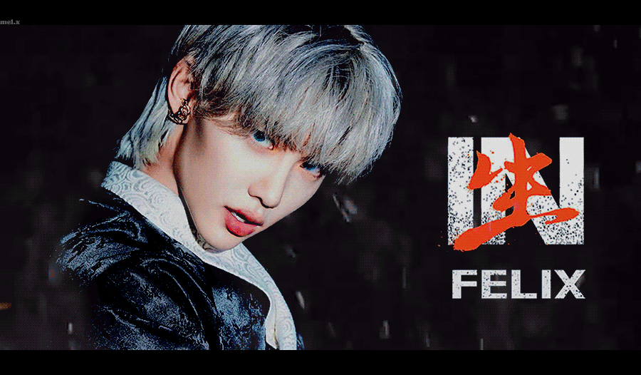 饭修 饭制 straykids