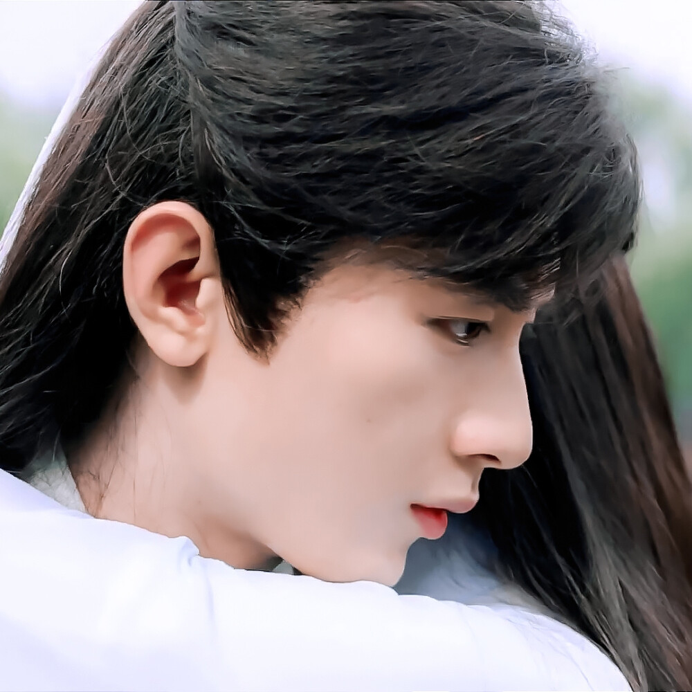 琉璃褚璇玑禹司凤