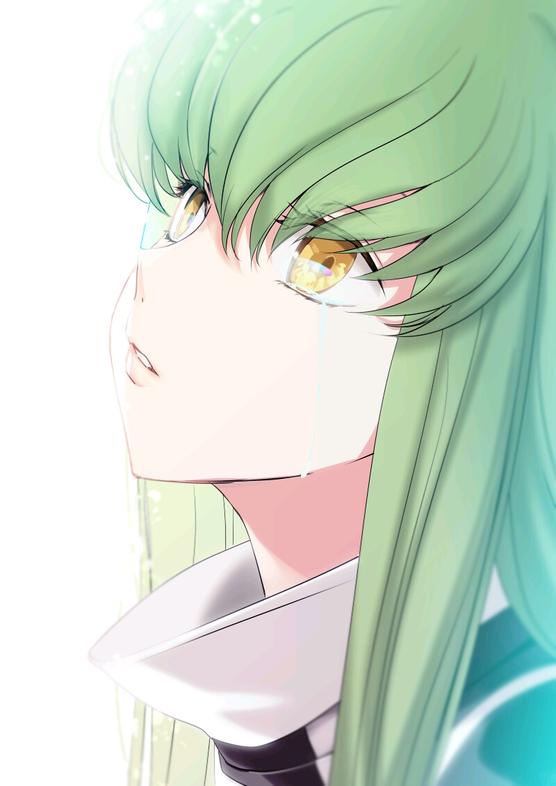 cc魔女叛逆的鲁鲁修ω