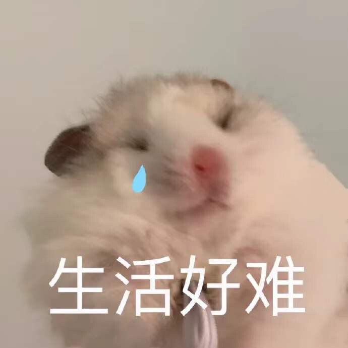 动物表情包仓鼠流泪生活好难