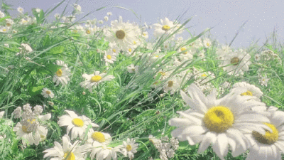 400_225gif 动态图 动图