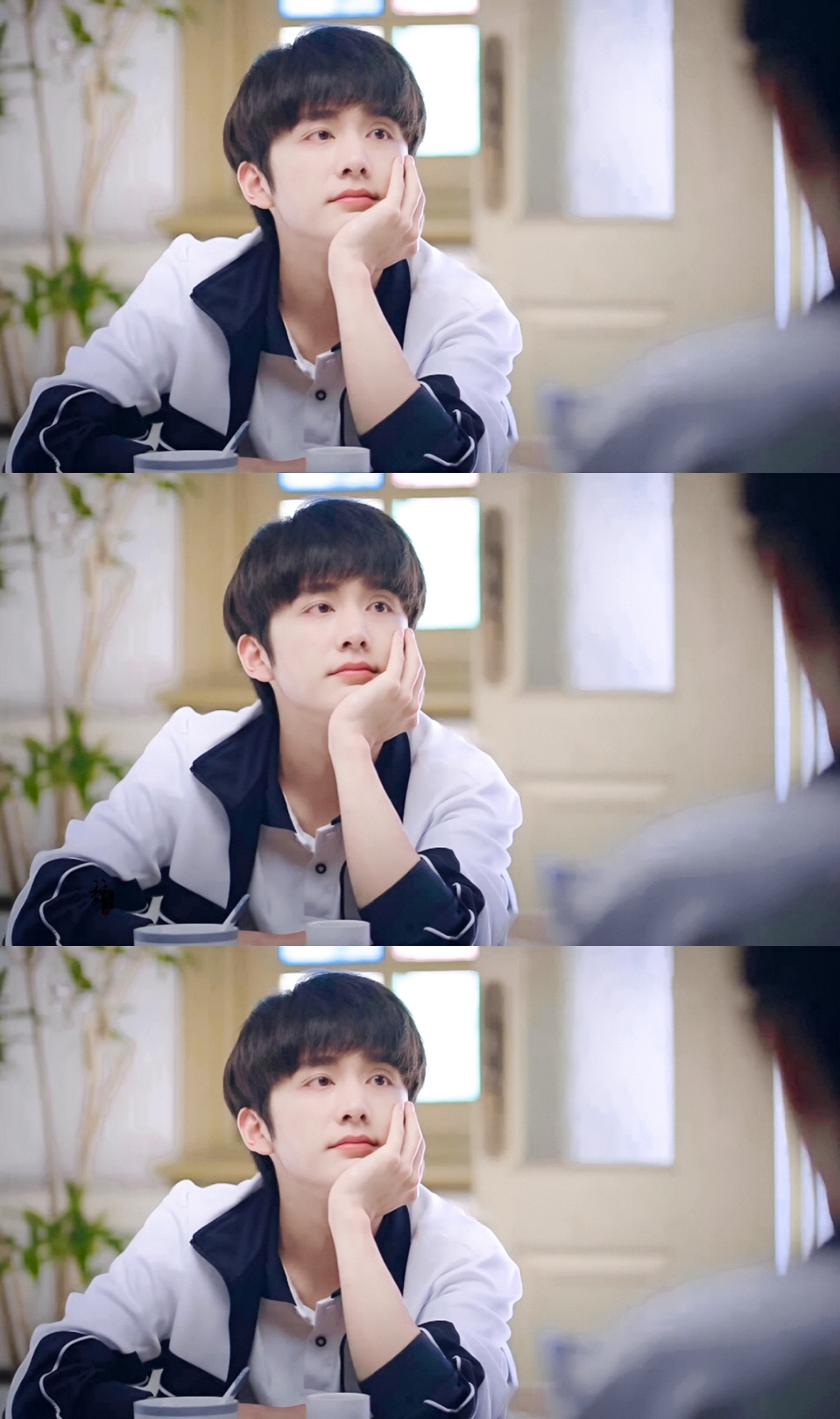 张新成/以家人之名/贺子秋