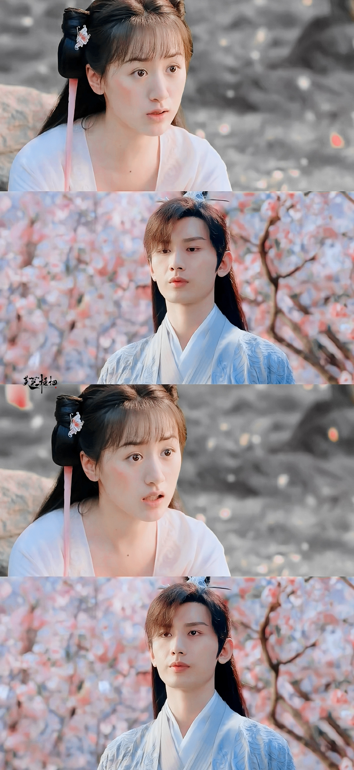 成毅禹司凤袁冰妍褚璇玑