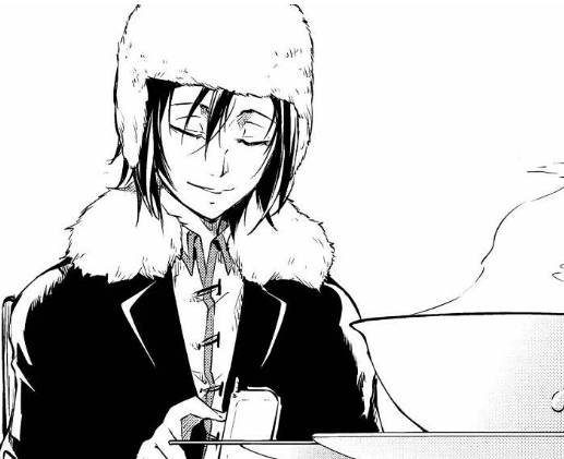 文豪野犬费奥多尔·d