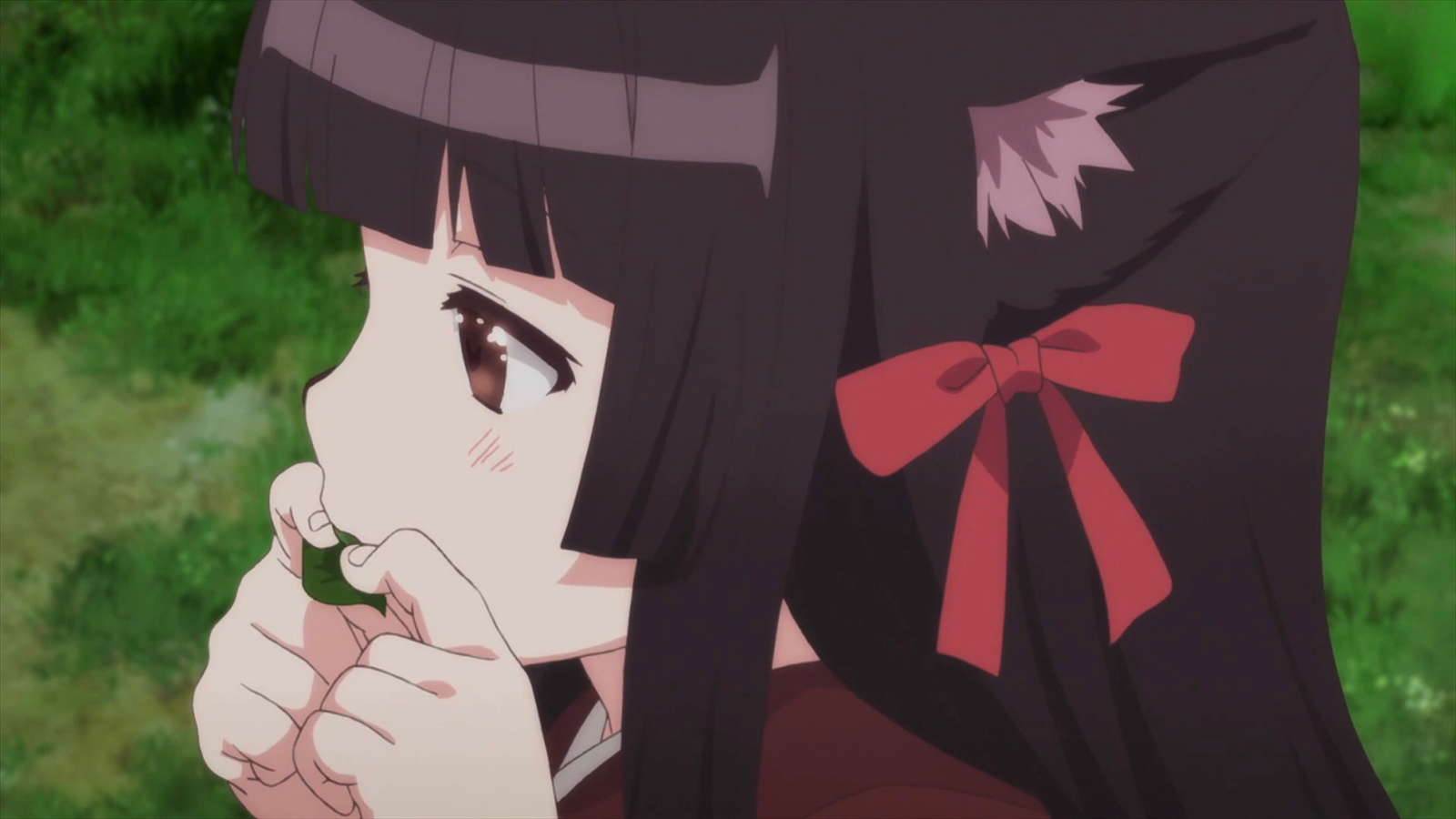 【此花亭奇谭】樱 74 - 堆糖,美图壁纸兴趣社区