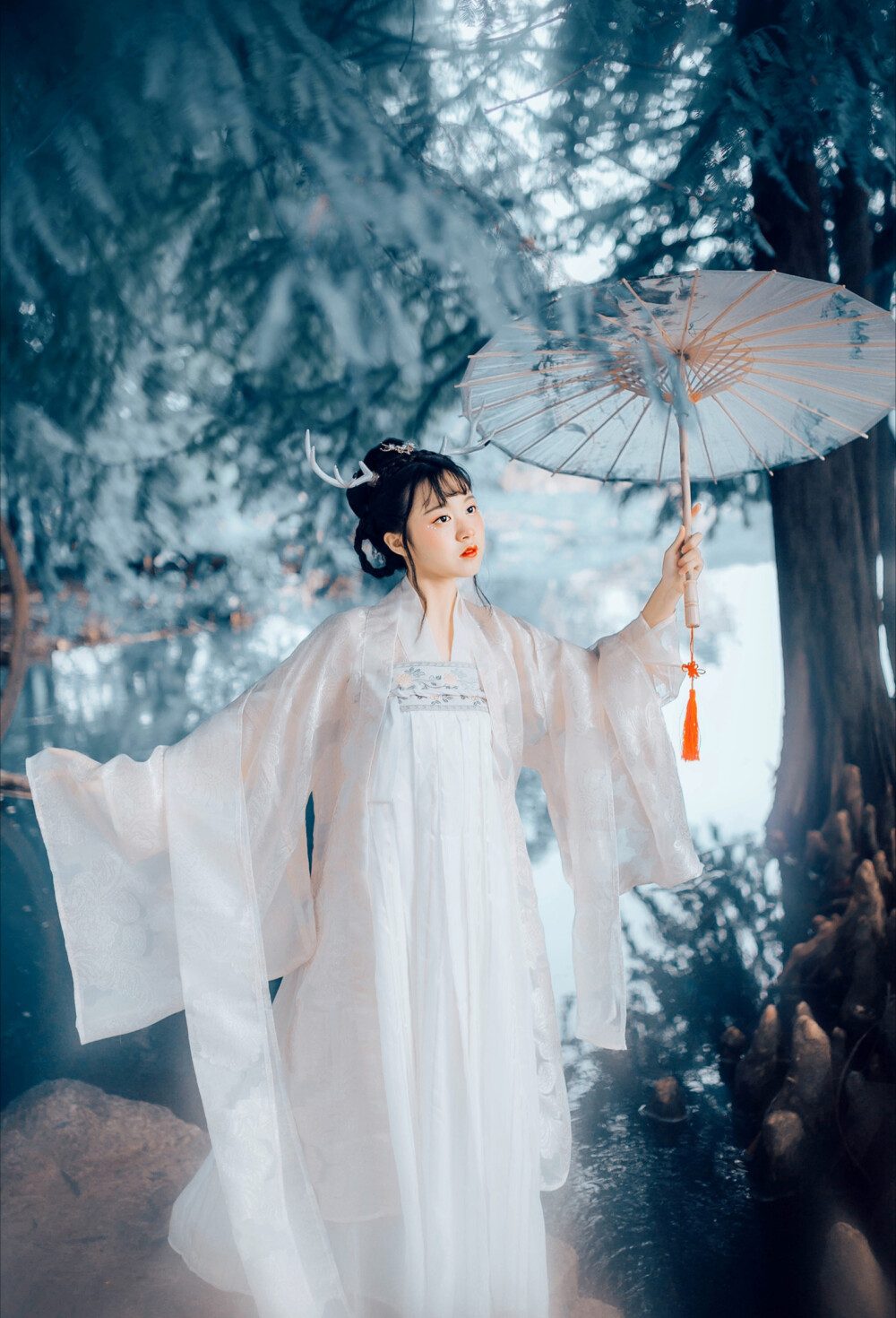 湖泊和沼泽.本是我的使命.而如今,我却什么都做不了了