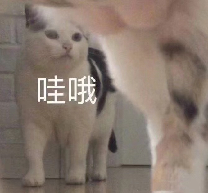 表情包 哇哦