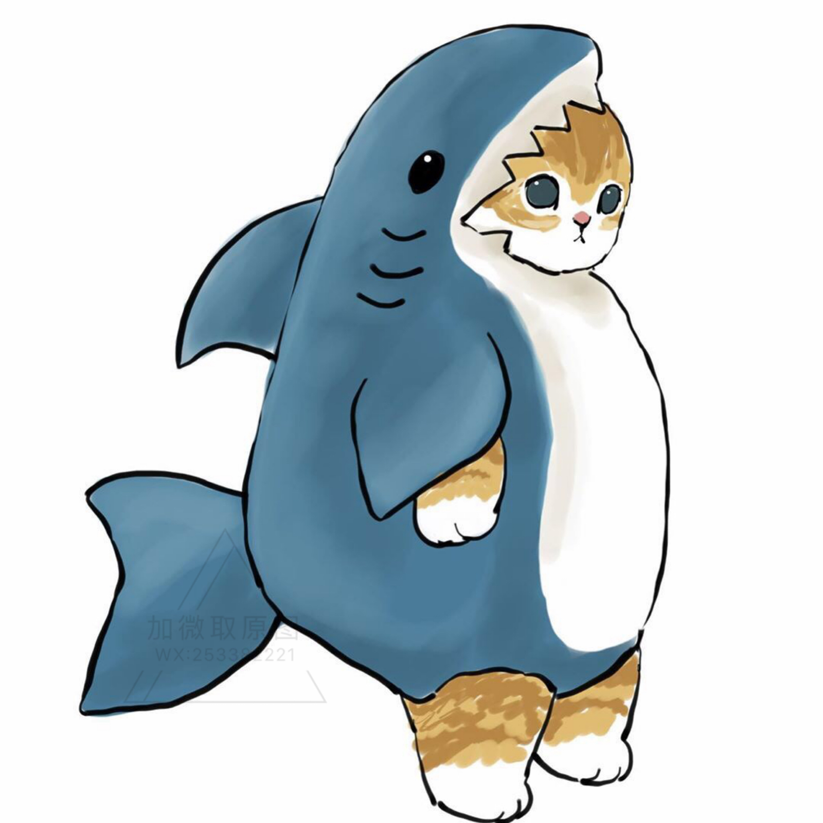 穿鲨鱼衣服的猫咪头像