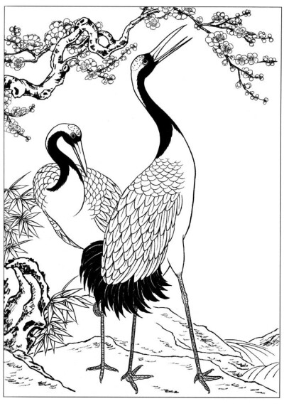 中国鹤简笔画图片