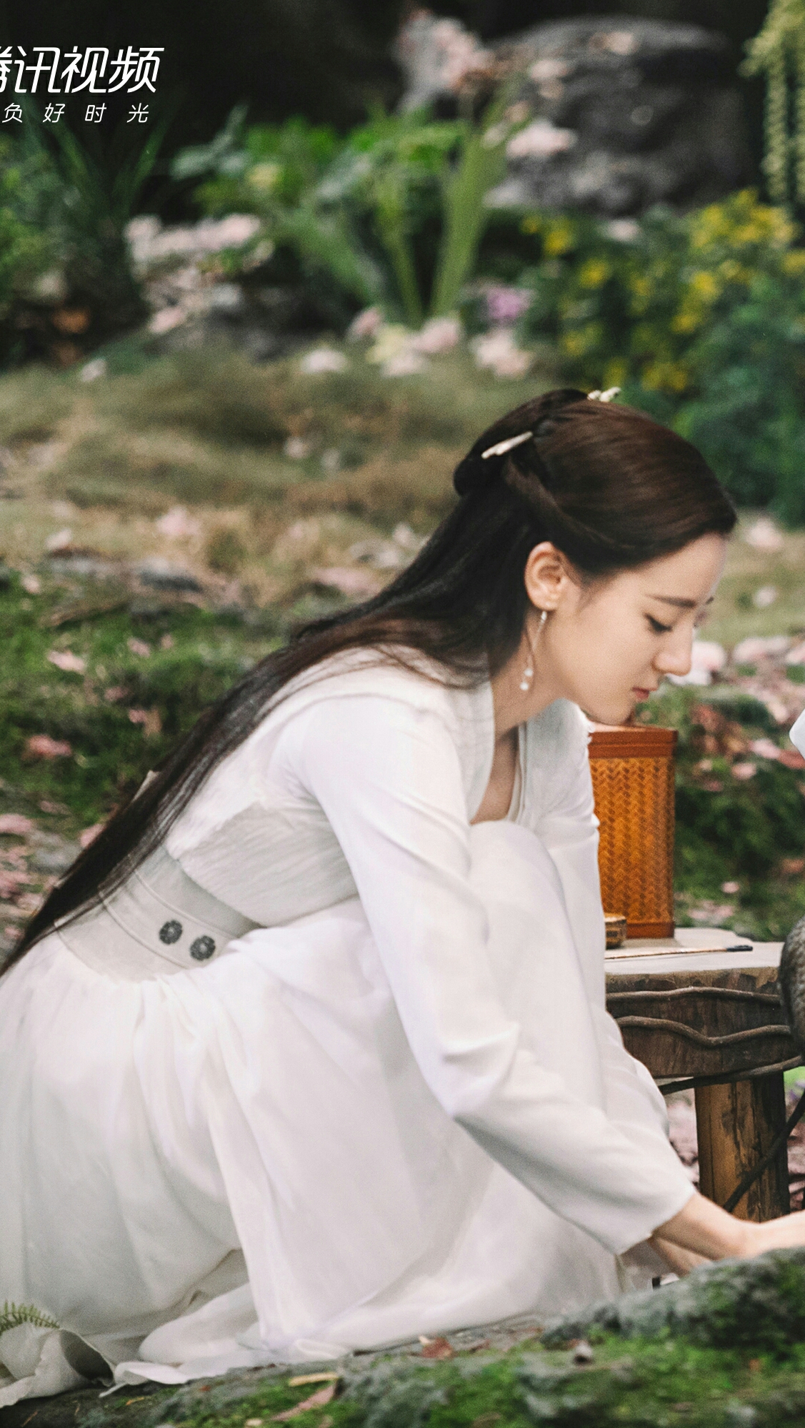 三生三世枕上书 白凤九/阿兰若 迪丽热巴