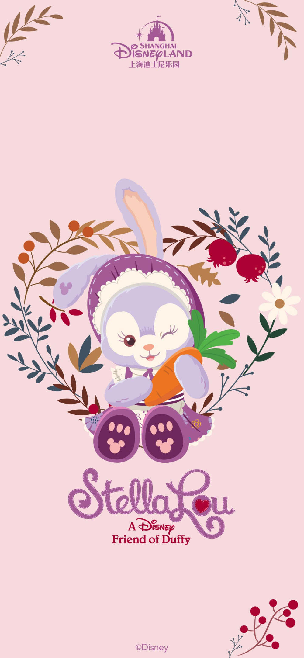 达菲和它的朋友们