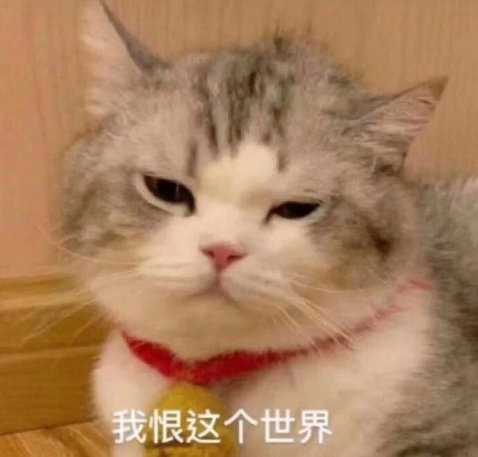 猫猫表情包我恨这个世界厌世脸