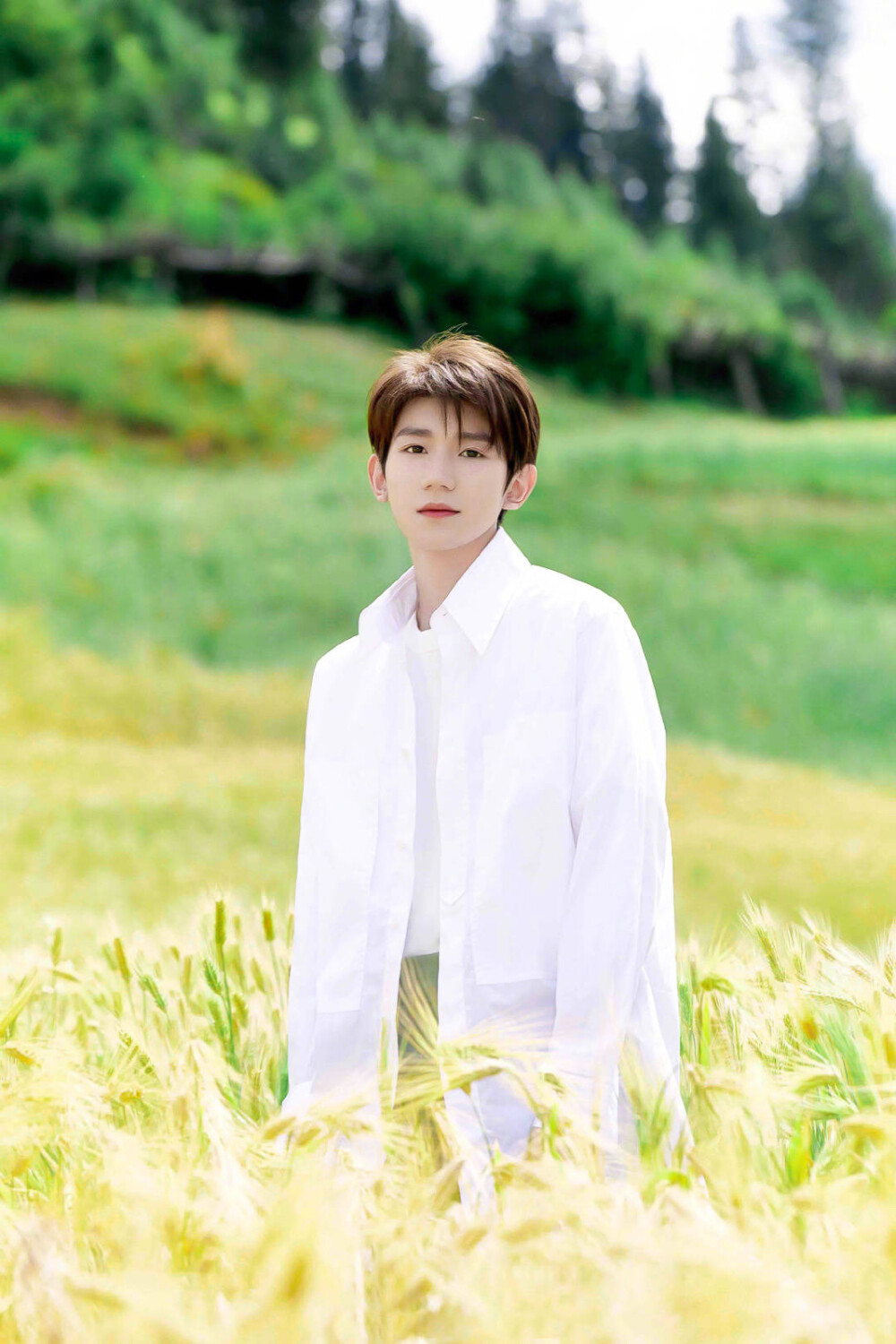 星光璀璨,唯爱王源