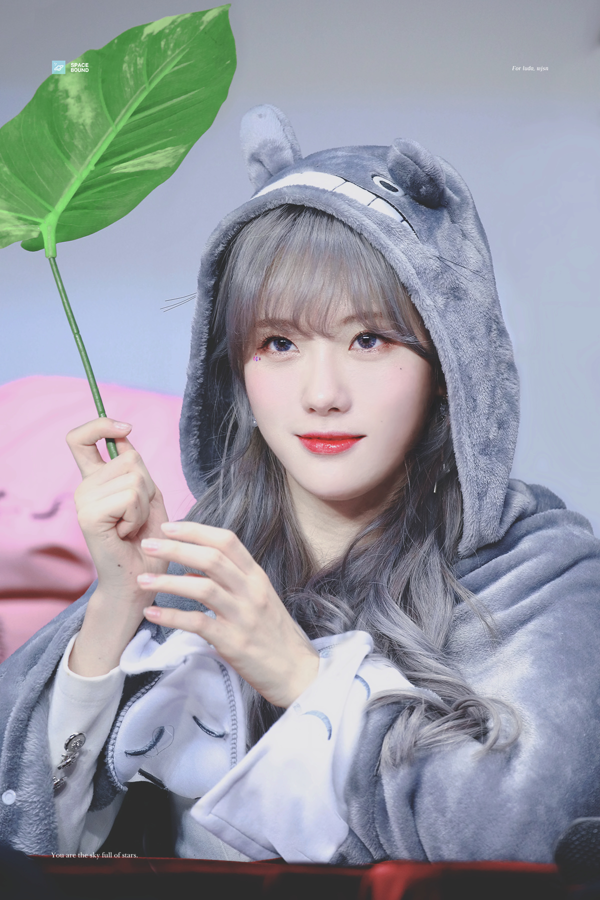 luda