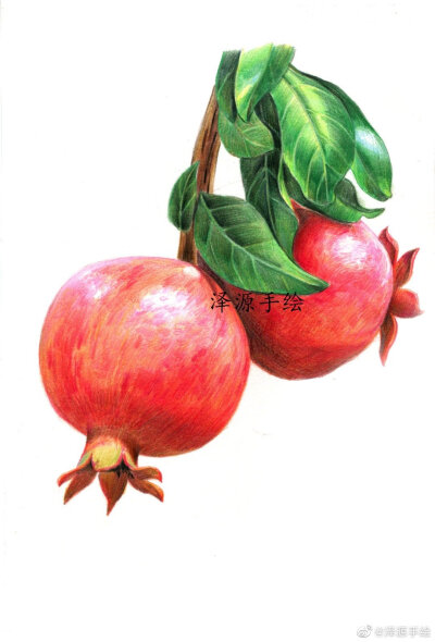 彩铅画故事