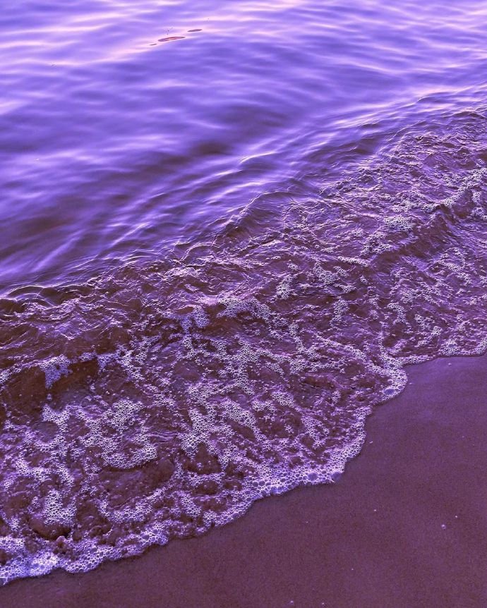 紫色海
