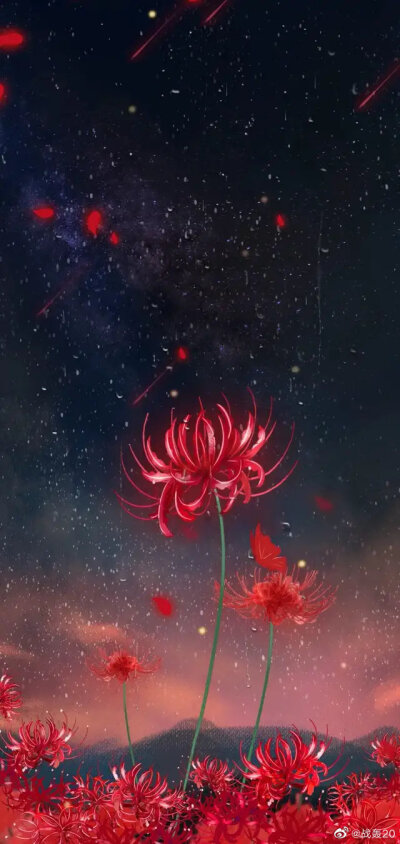 石蕊花彼岸花 - 堆糖,美图壁纸兴趣社区