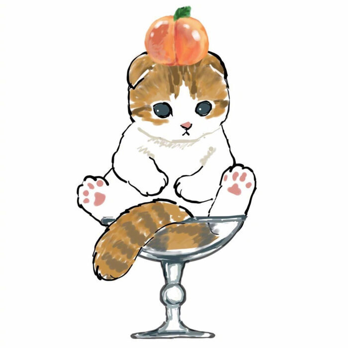 可爱小猫头像(最后一个小猫@_@)