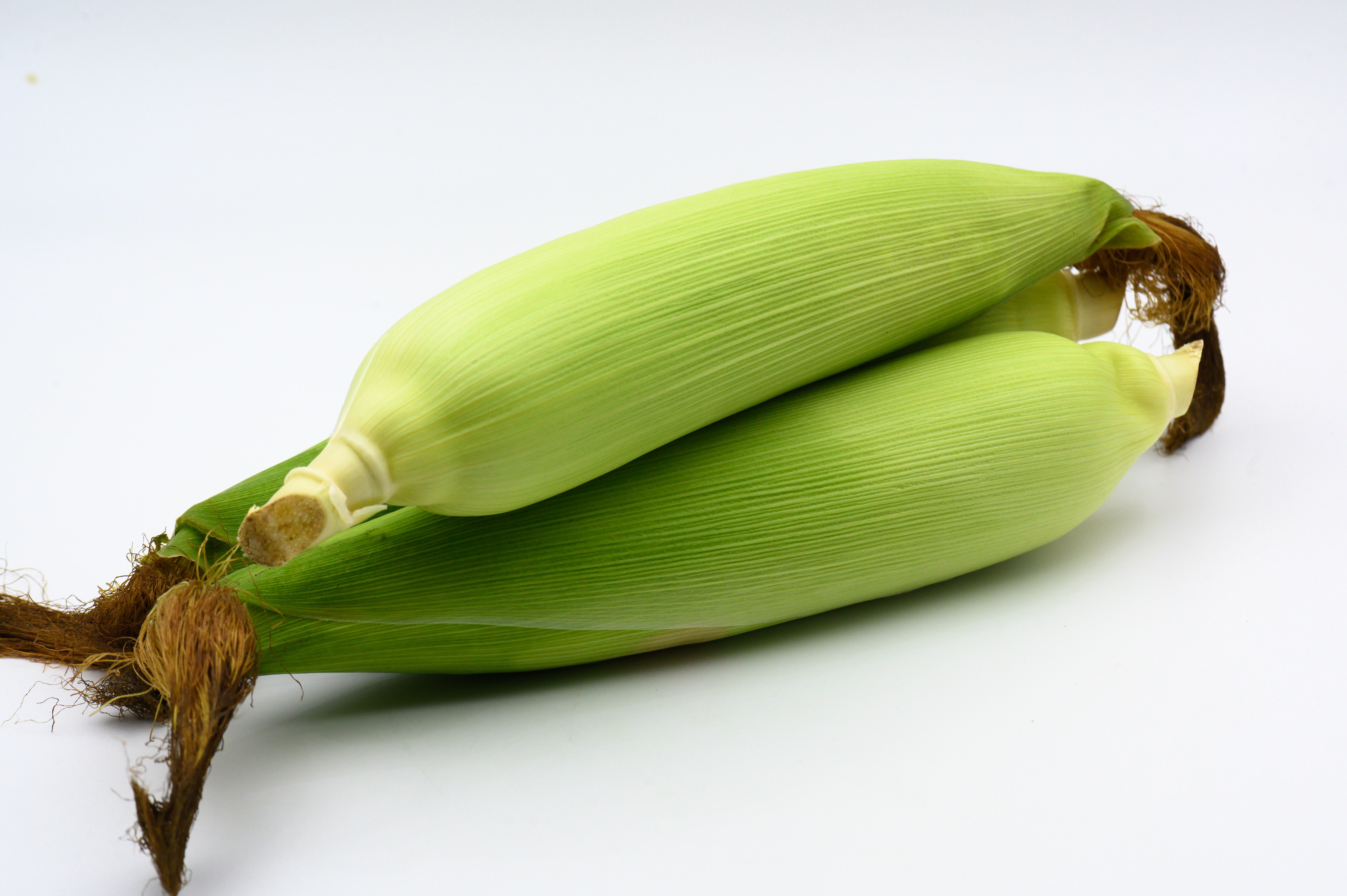玉米 白色背景 包谷 苞米 棒子 粟米 粮食作物 种植 粮食 果实 成熟