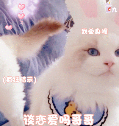 表情包