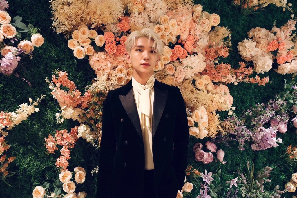 洪知秀 - 堆糖,美图壁纸兴趣社区