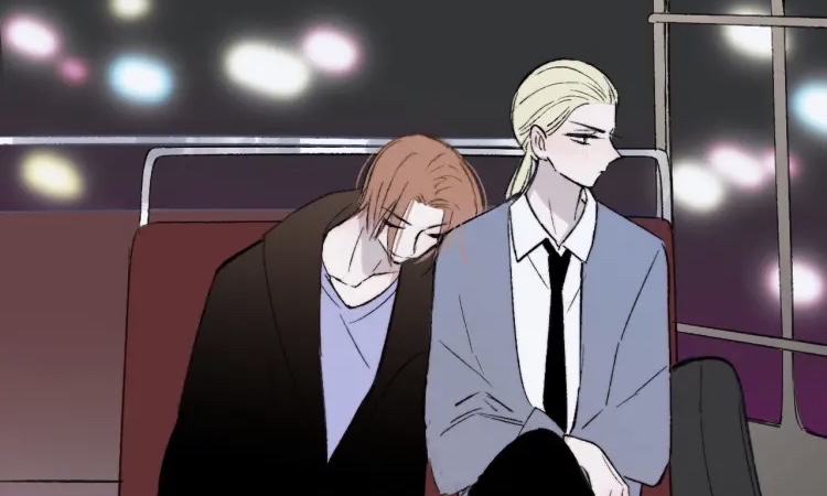 非友人关系秦岚白鹄