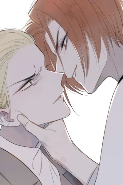 非友人关系·秦岚&白鹄