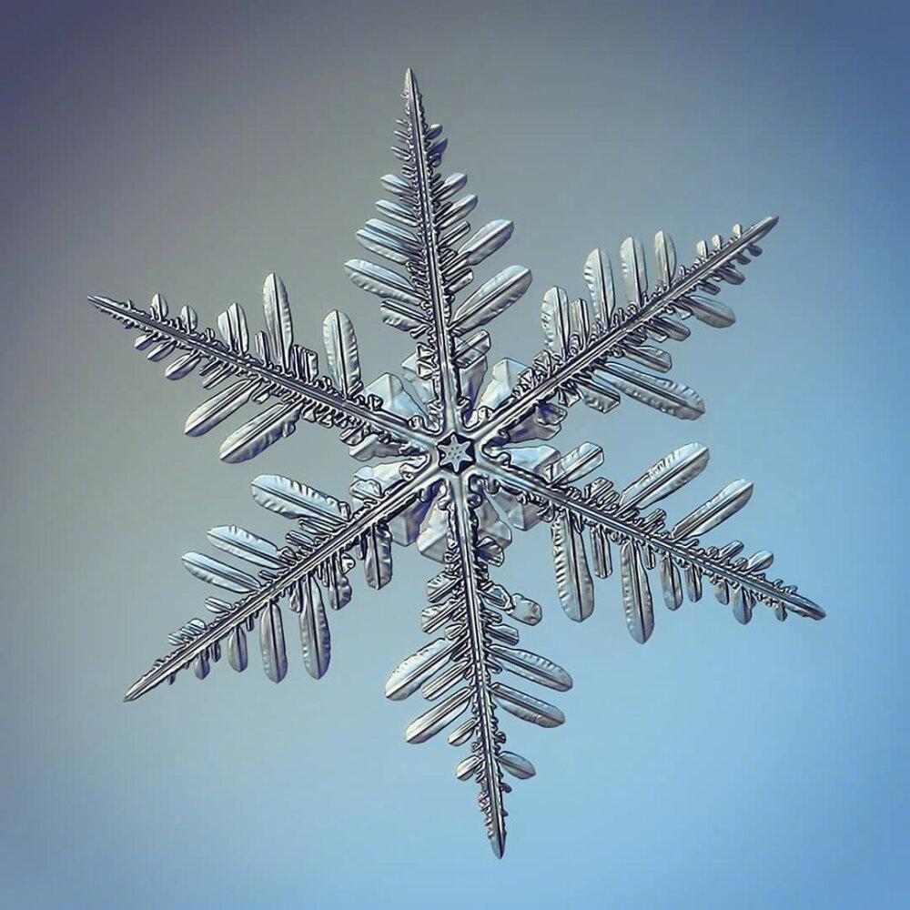 雪花图片美图大全图片