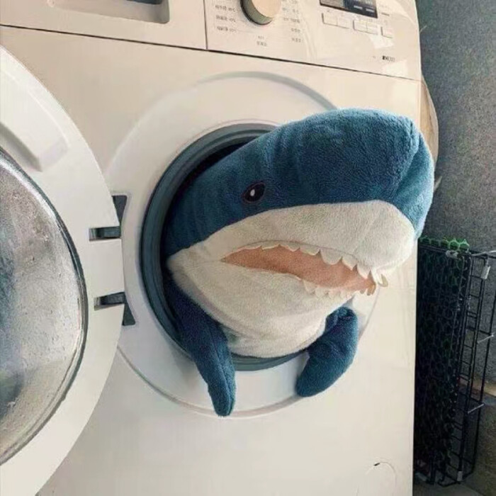 滚筒洗衣机鲨鱼头像图片