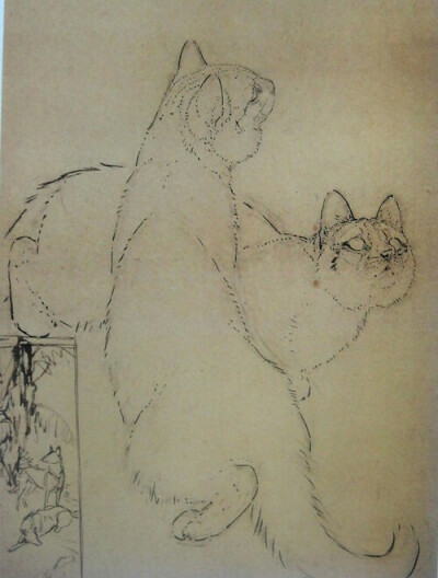 线描一系列画