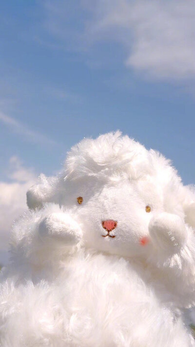 一只小羊咩咩咩 /锁屏壁纸/秋日壁纸/ins系壁纸/可爱壁纸