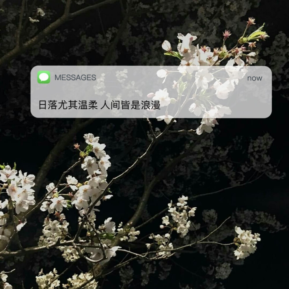 messages文案 