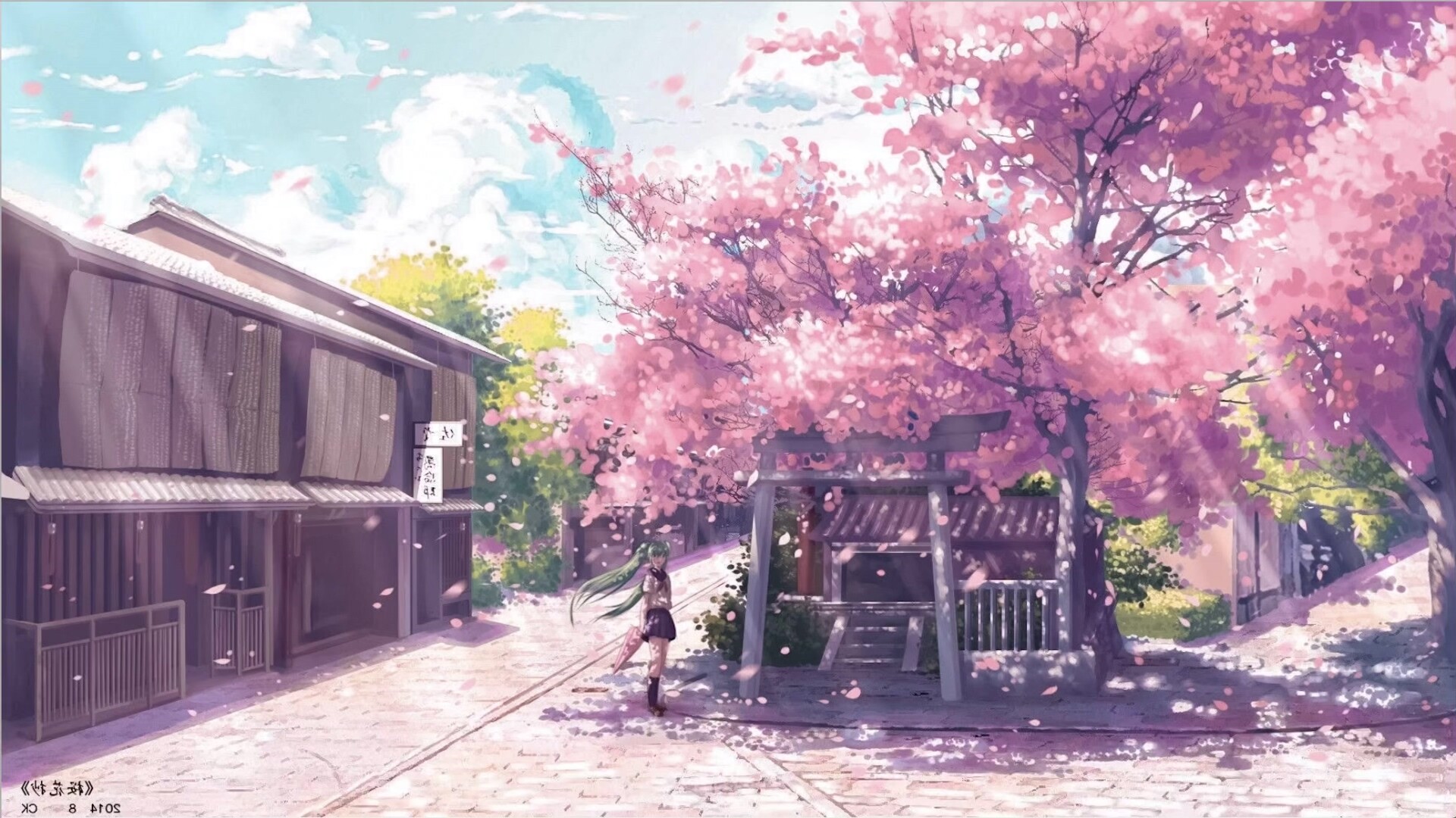日本的街道如果没有樱花的陪衬,是一种遗憾
