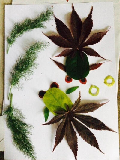 树叶的画