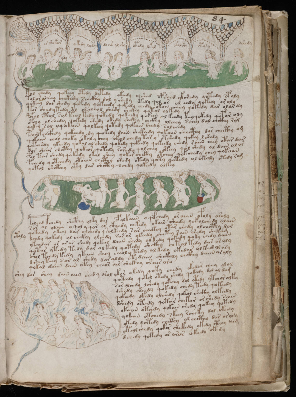 voynich_manuscript