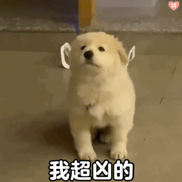 狗狗抱抱表情包