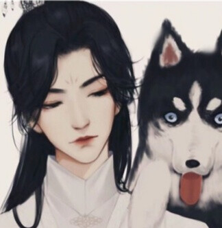 《二哈和他的白猫师尊》情头