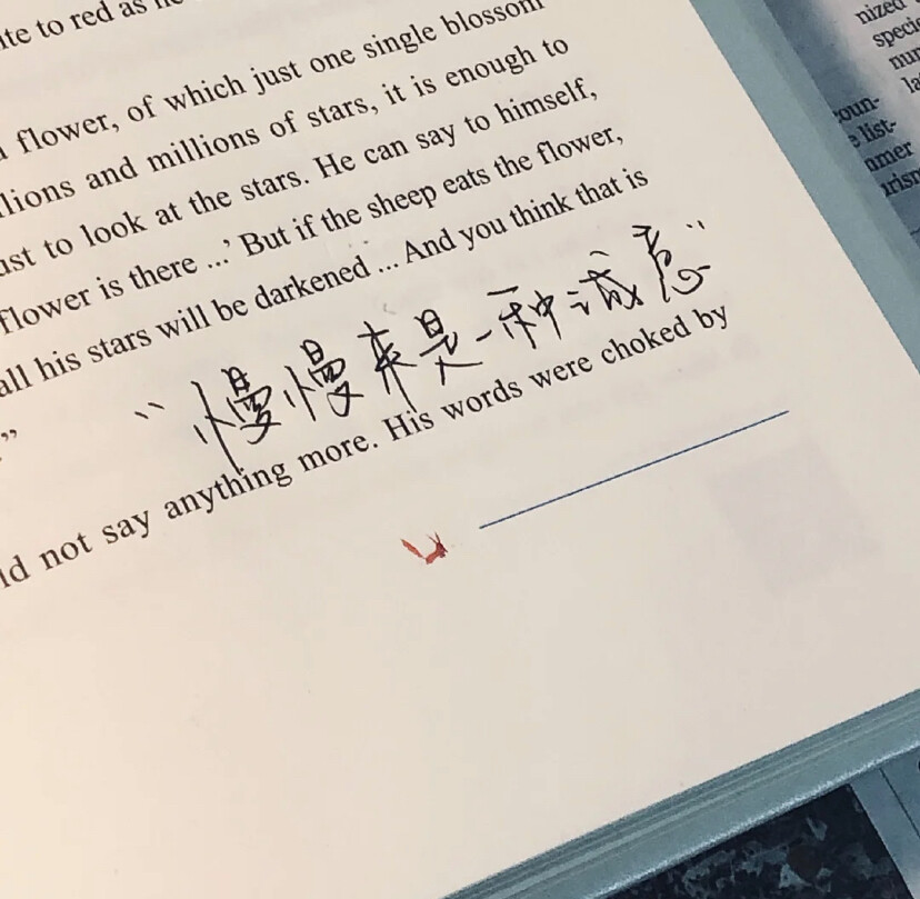 背景图 -礼貌拿图=关赞评★木易biubiu /背景图/ins风/手写/ 图源