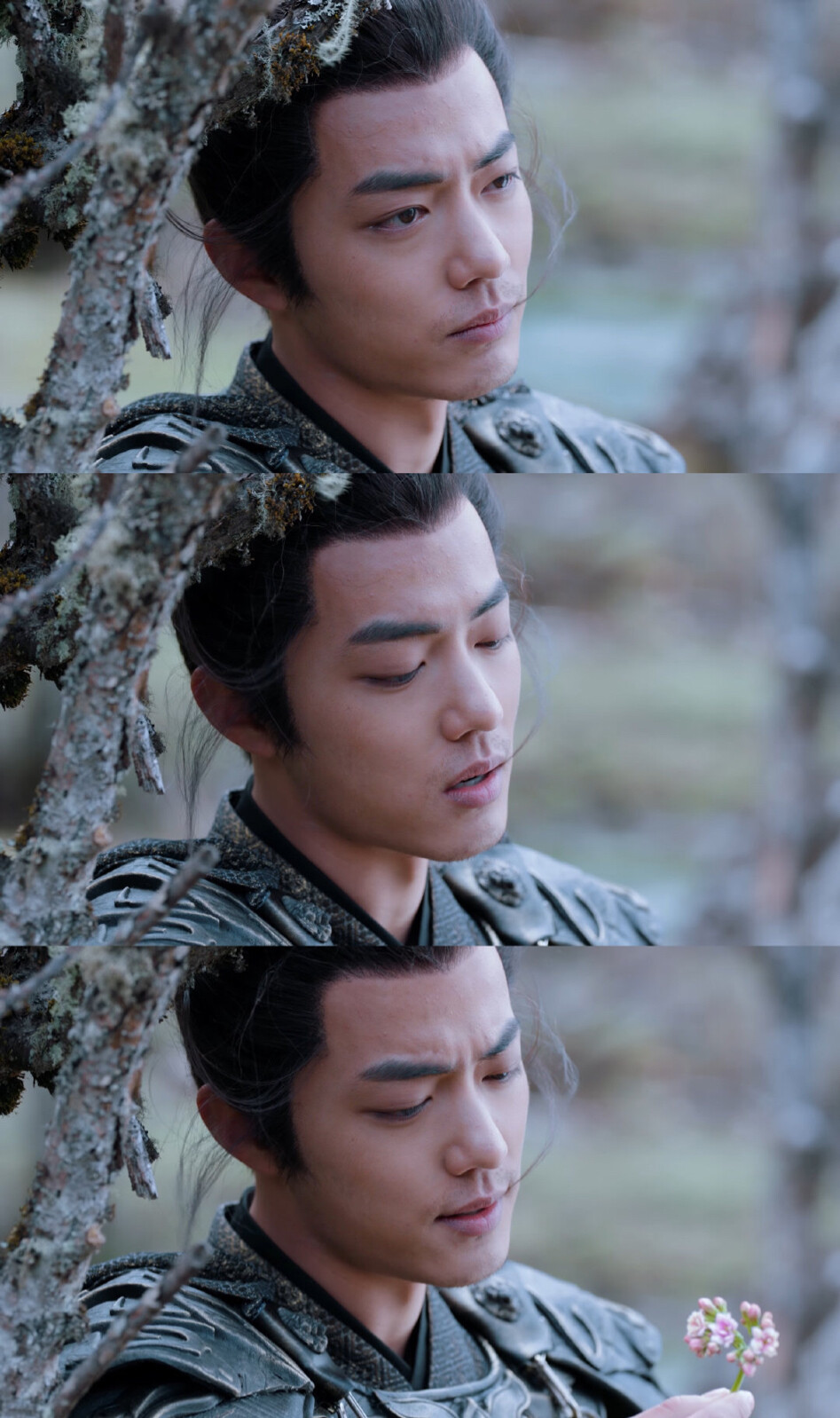 狼殿下│疾冲│肖战