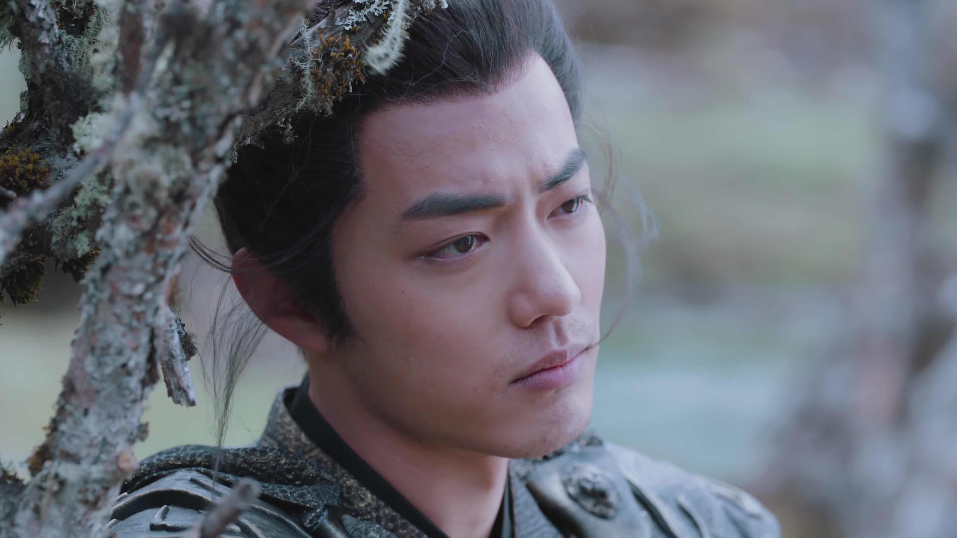 狼殿下截图,晋国王子疾冲(肖战饰).