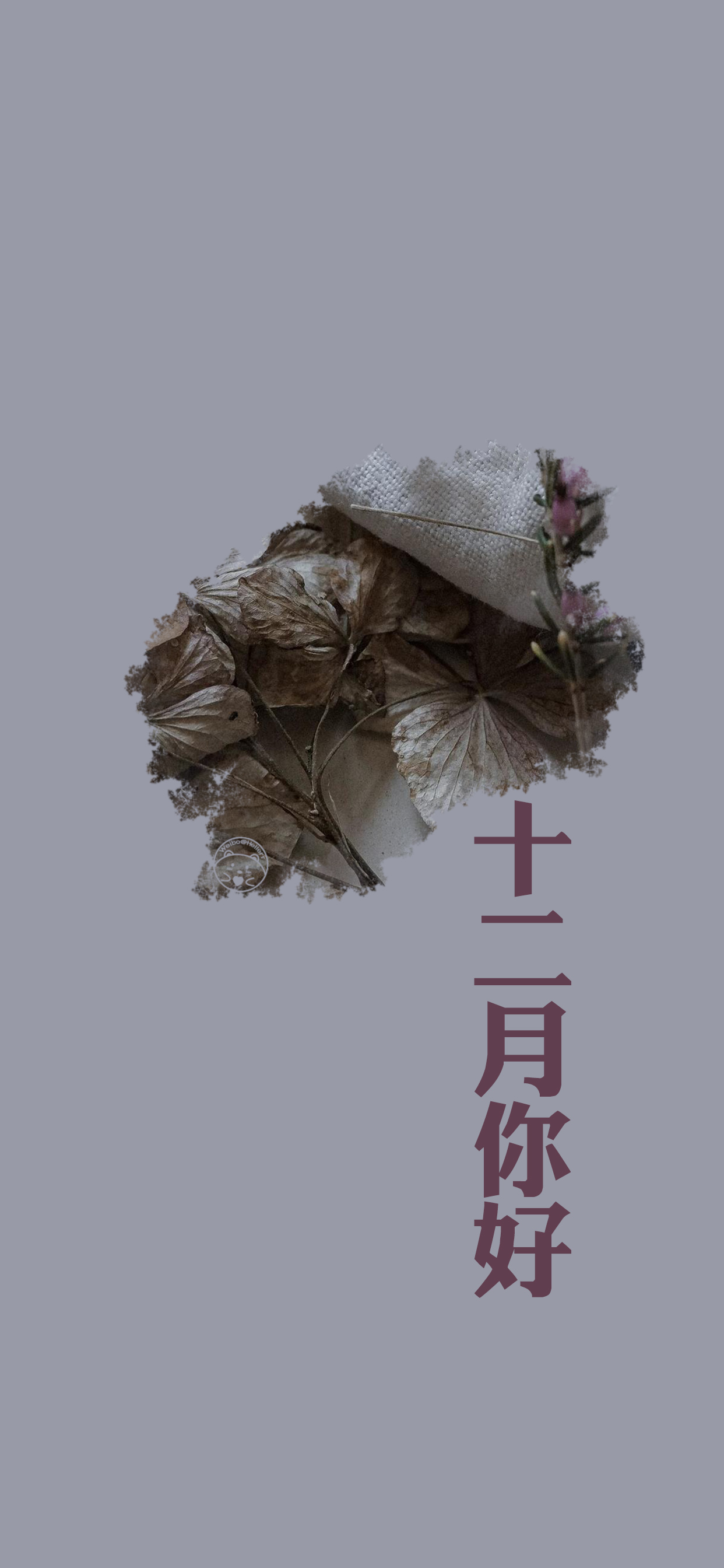 十二月你好 [ 作图软件=电脑photoshop ] [ 喜欢我的原创文字壁纸可以