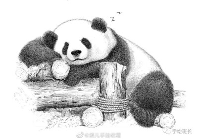 熊猫线描装饰绘画