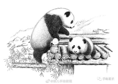 熊猫线描画黑白图片