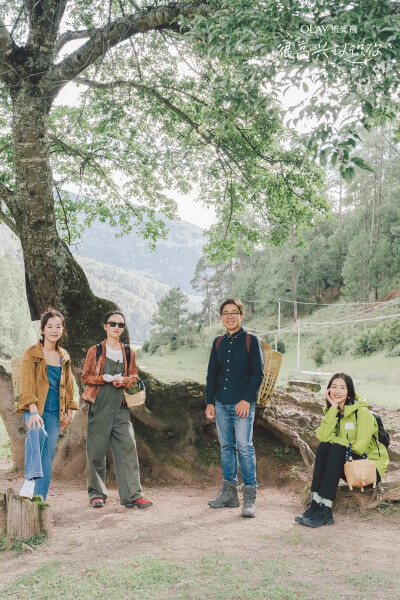 很高兴认识你字