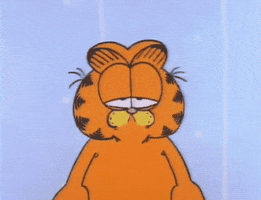 加菲猫动画片表情包图片