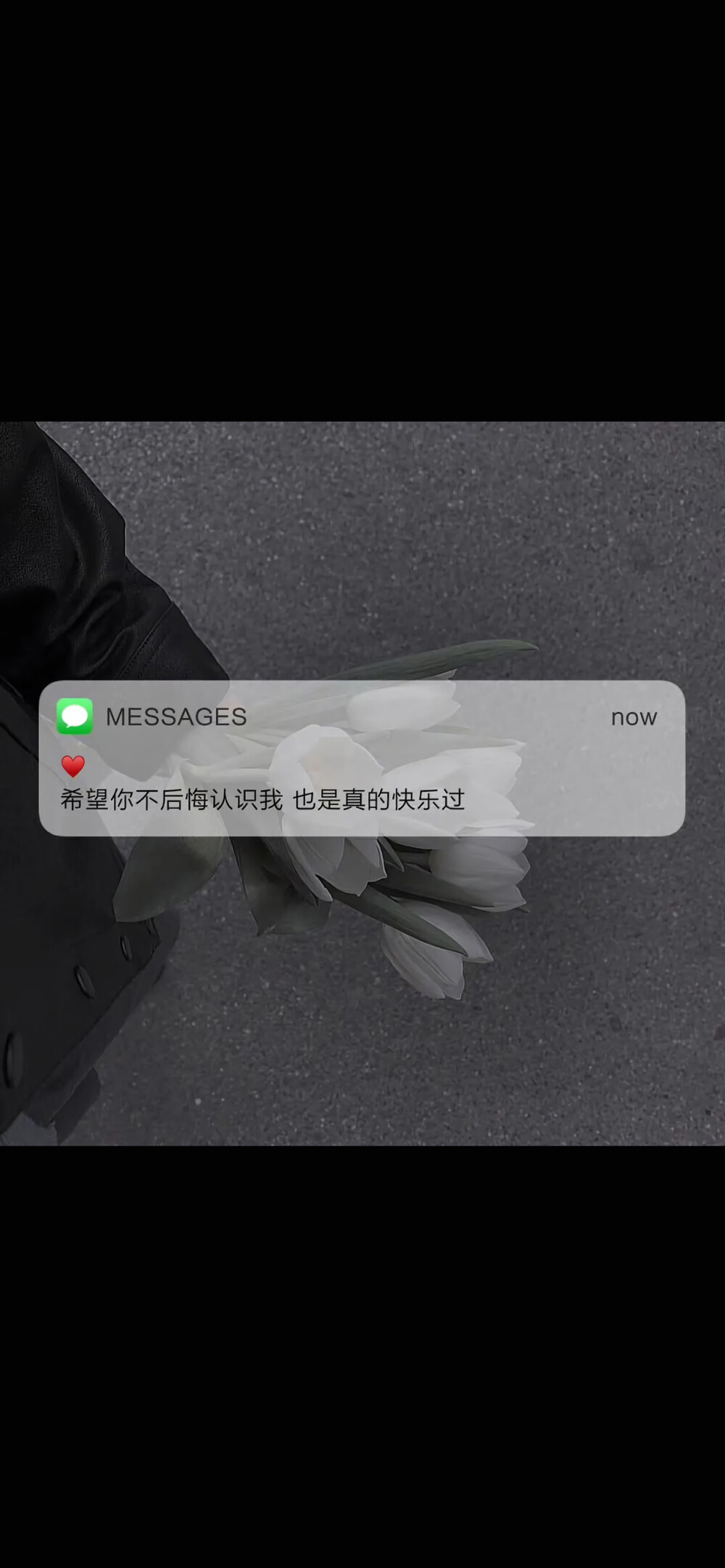 messages短信文字温暖文字情感爱情